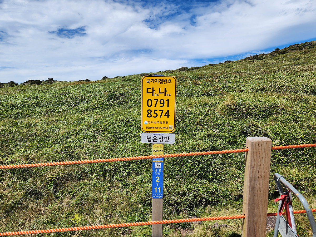 8cdebab83914843147d3f5618e85963a_1730960260_0058.jpg